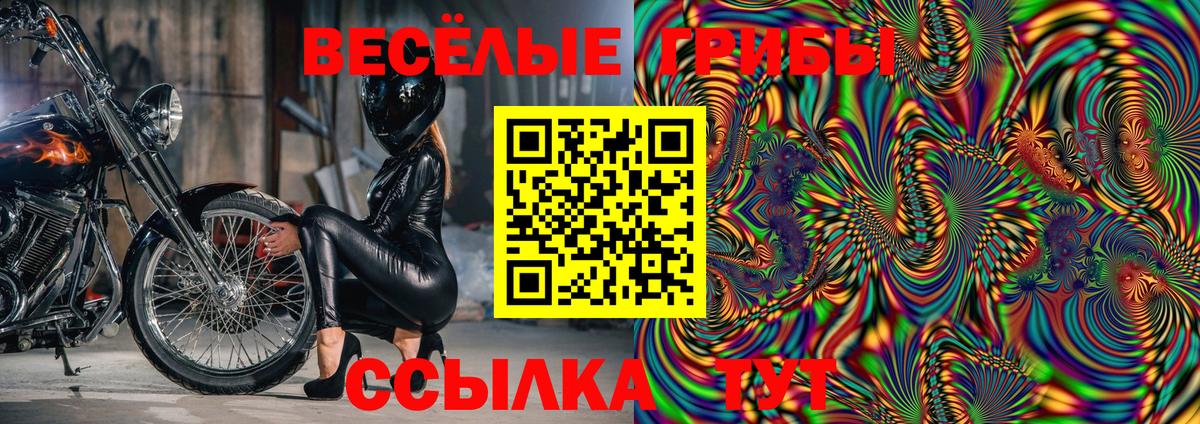 Мичуринск  Псилоцибиновые грибы Psilocybe  Псилоцибиновые грибы GOLDEN TEACHER  Вход с VPN 