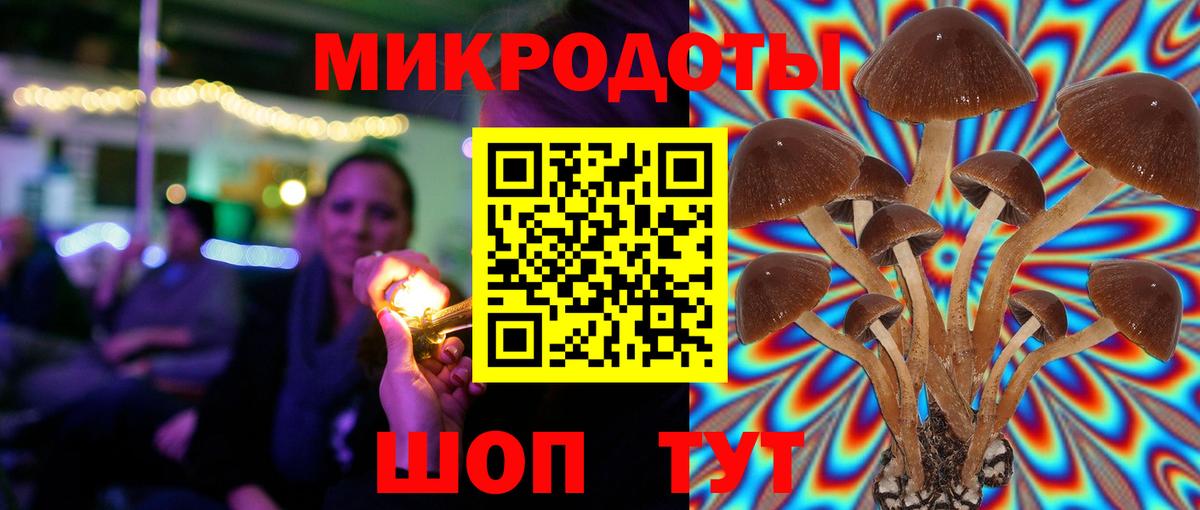 Галлюциногенные грибы MAGIC MUSHROOMS Мичуринск